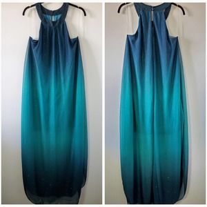 Venus XL Sparkle Ombre Shift Dress